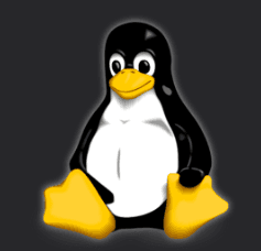 Linux Logo